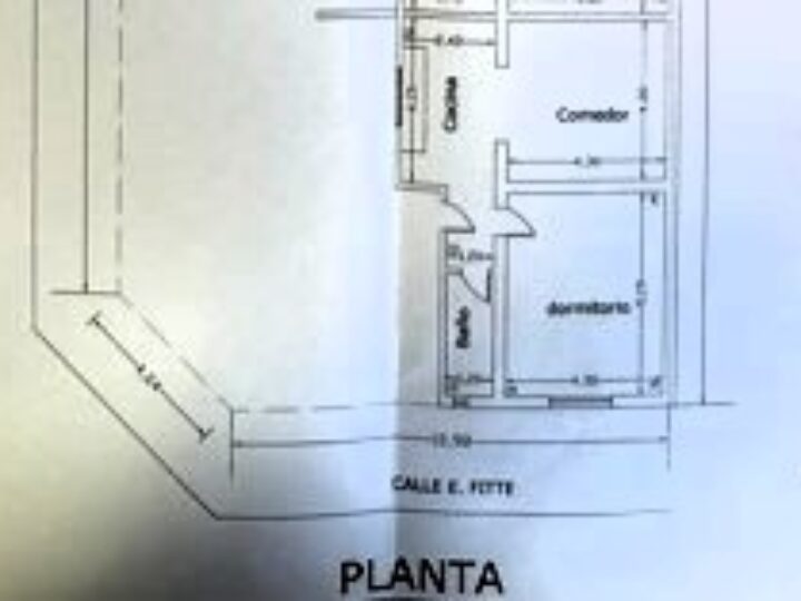 PLANTA
