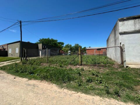 WhatsApp Image 2024-10-29 at 10.51.40