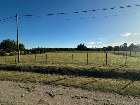 WhatsApp Image 2025-03-13 at 16.16.37