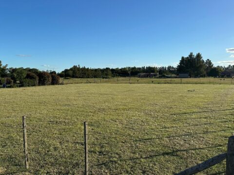 WhatsApp Image 2025-03-13 at 16.16.38