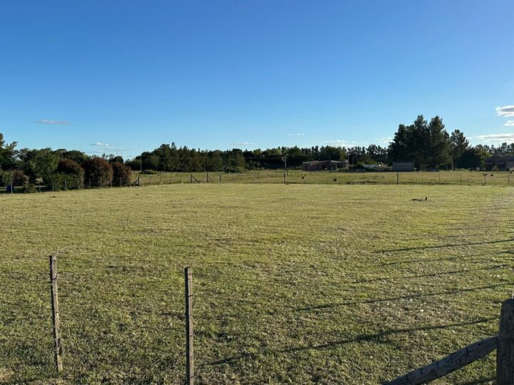 WhatsApp Image 2025-03-13 at 16.16.38