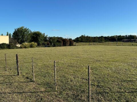 WhatsApp Image 2025-03-13 at 16.16.39