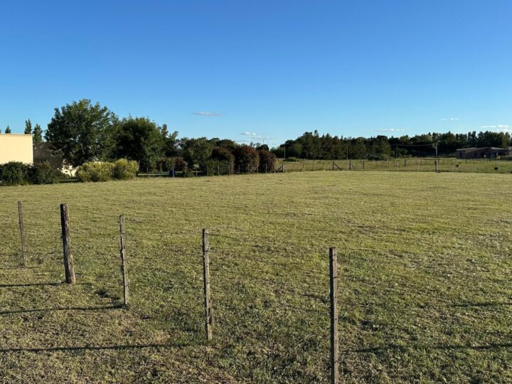 WhatsApp Image 2025-03-13 at 16.16.39