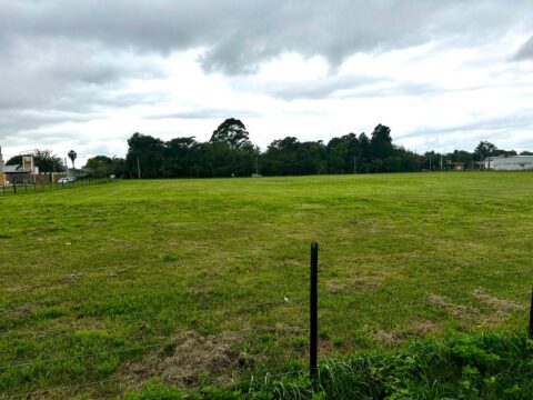 WhatsApp Image 2025-04-11 at 15.59.16 (1)