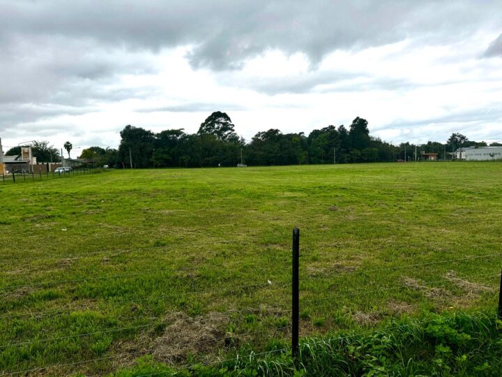 WhatsApp Image 2025-04-11 at 15.59.16 (1)