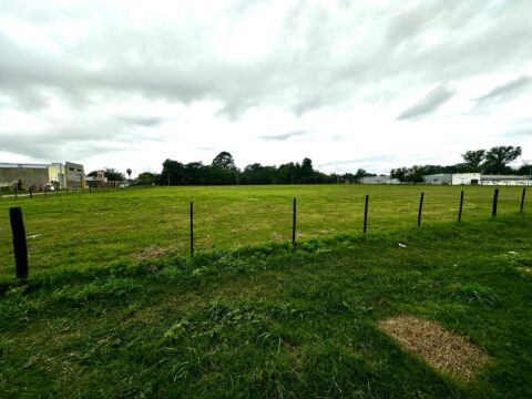 WhatsApp Image 2025-04-11 at 15.59.16 (2)