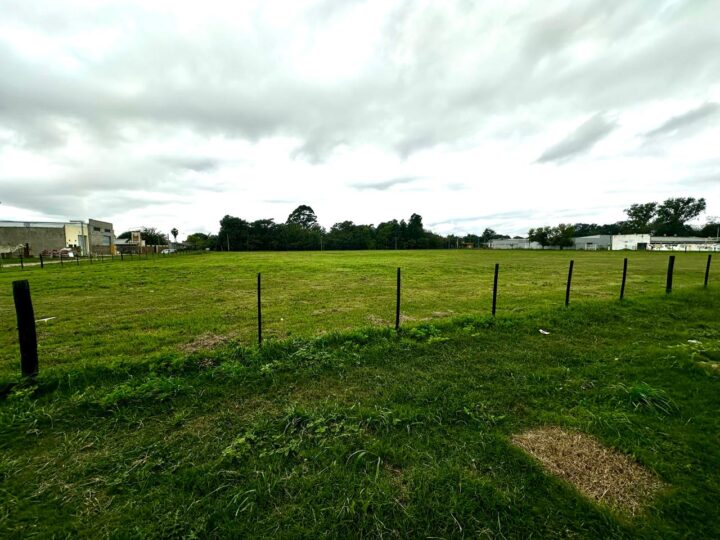 WhatsApp Image 2025-04-11 at 15.59.16 (2)