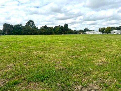 WhatsApp Image 2025-04-11 at 15.59.16 (4)