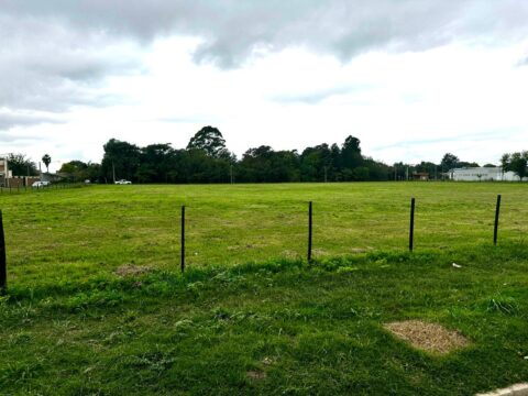 WhatsApp Image 2025-04-11 at 15.59.16