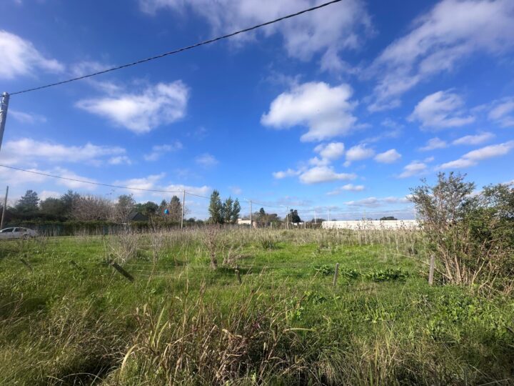 WhatsApp Image 2025-06-02 at 10.06.27