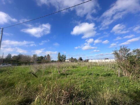 WhatsApp Image 2025-06-02 at 10.06.28 (1)