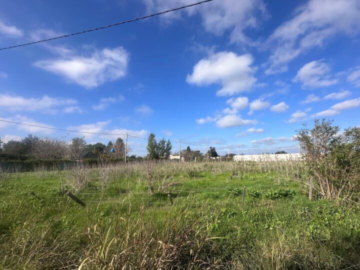 WhatsApp Image 2025-06-02 at 10.06.28