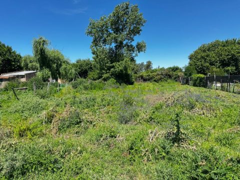 WhatsApp Image 2025-11-25 at 13.05.12