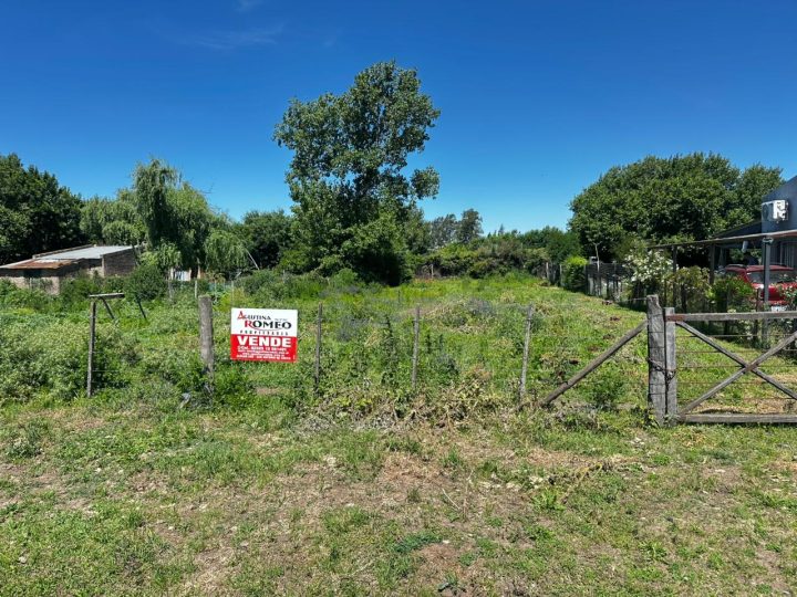 WhatsApp Image 2025-11-25 at 13.05.13 (1)