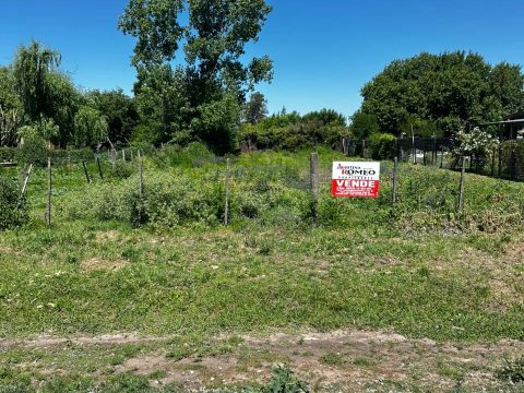 WhatsApp Image 2025-11-25 at 13.05.13 (2)