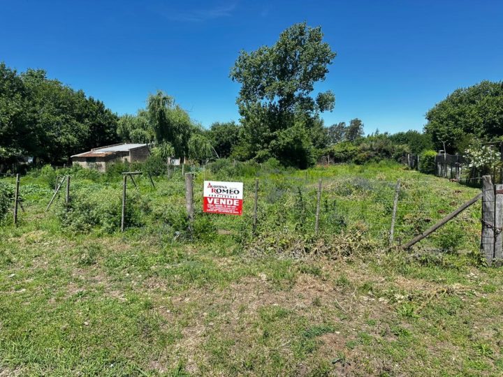 WhatsApp Image 2025-11-25 at 13.05.13