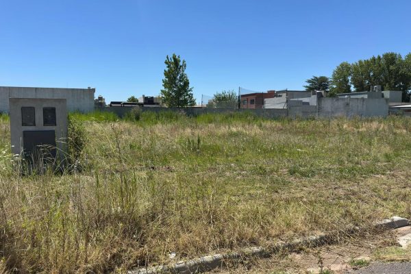 WhatsApp Image 2026-01-19 at 12.11.03