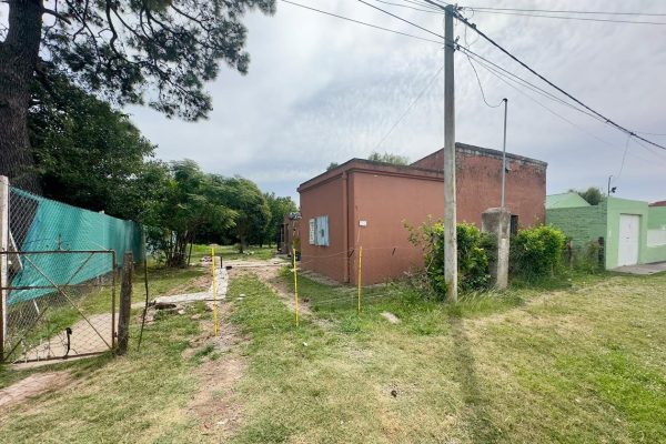 WhatsApp Image 2026-01-31 at 19.17.42