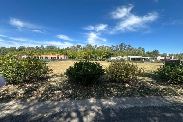 WhatsApp Image 2026-03-09 at 15.20.33