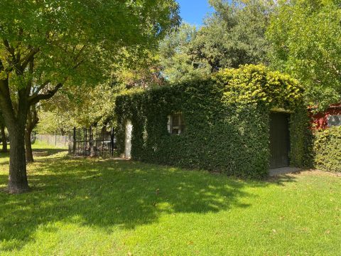 WhatsApp Image 2026-04-13 at 14.28.39