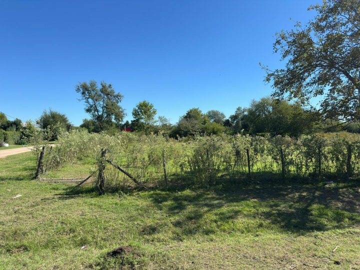 WhatsApp Image 2026-04-16 at 14.16.54 (1)