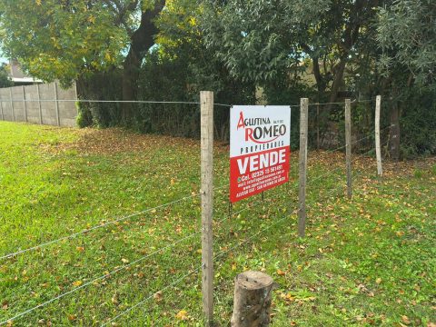 WhatsApp Image 2026-04-21 at 16.40.20