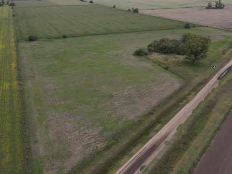 WhatsApp Image 2026-04-22 at 07.14.56 (1)