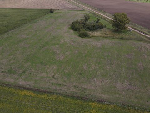 WhatsApp Image 2026-04-22 at 07.14.56 (2)