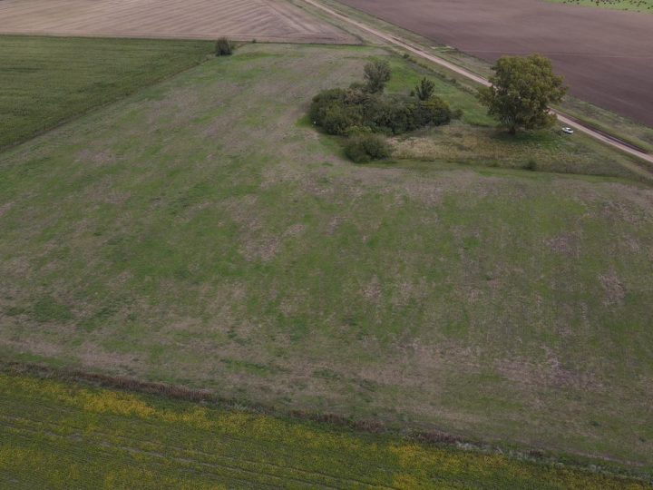 WhatsApp Image 2026-04-22 at 07.14.56 (2)