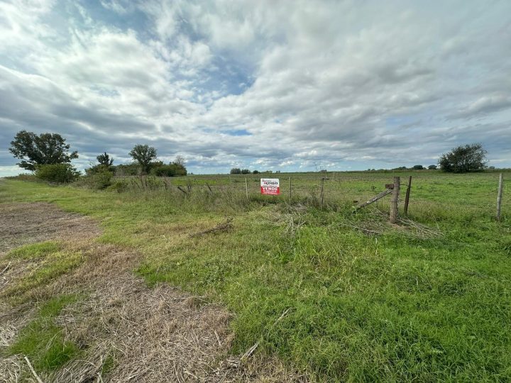 WhatsApp Image 2026-04-22 at 07.14.57 (1)