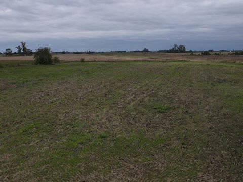 WhatsApp Image 2026-04-22 at 07.14.57