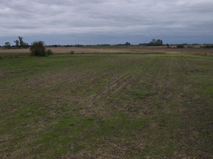 WhatsApp Image 2026-04-22 at 07.14.57